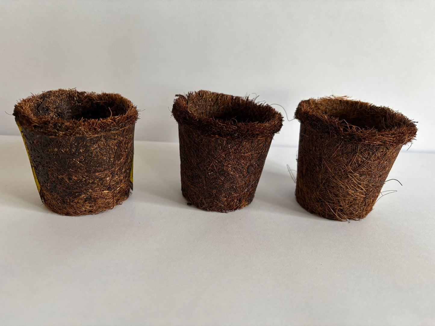 Maceta de fibra de coco 6.0 X 6.0 cm.