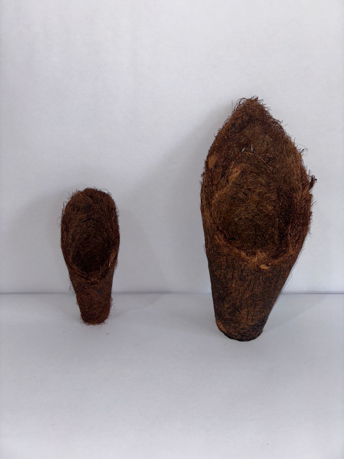 Maceta de fibra de coco Cono 13.0 X 4.0 CM