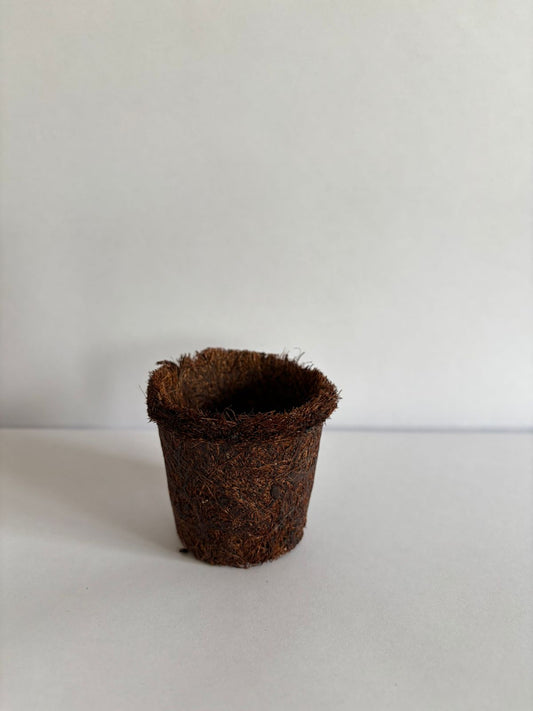 Maceta de fibra de coco 6.0 X 6.0 cm.