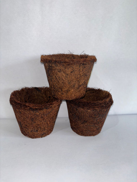 Maceta de fibra de coco 7.0 X 10.0 cm.