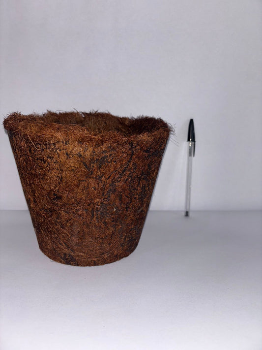 Maceta de fibra de coco 14.0 X 17.0 cm.