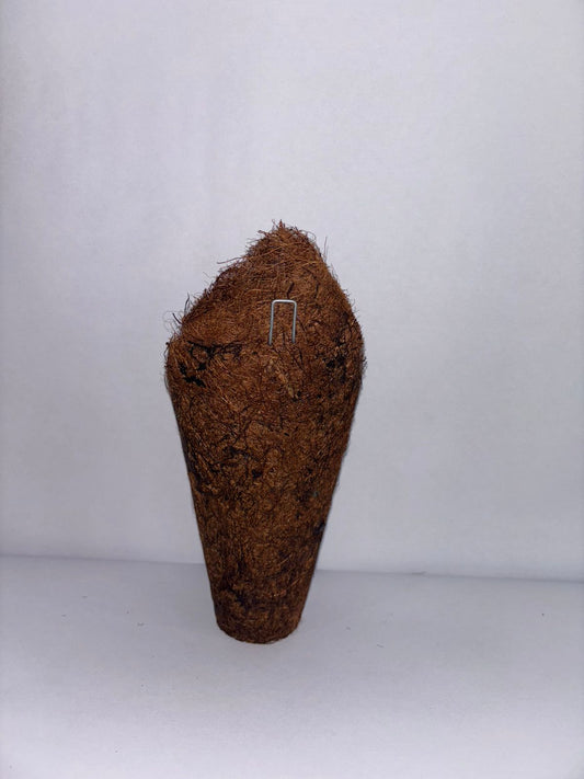 Maceta de fibra de coco Cono 13.0 X 4.0 CM